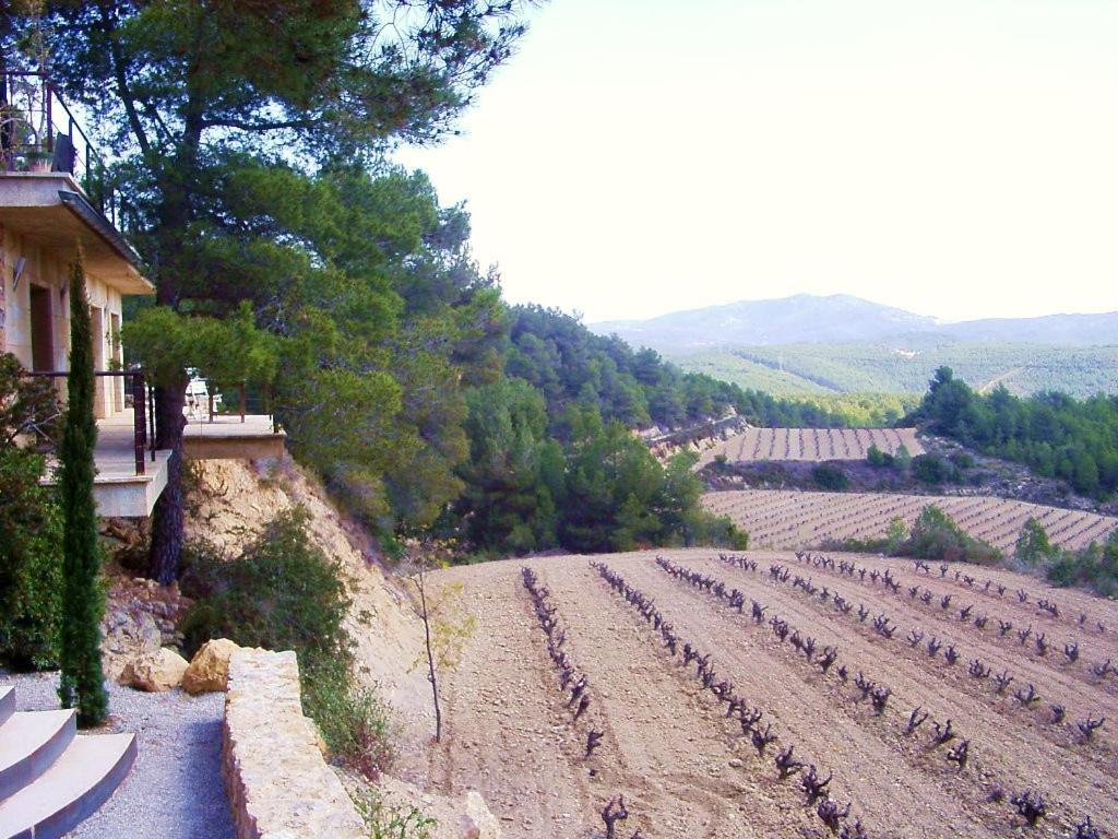 Avinyonet del Penedes Can Maginet מראה חיצוני תמונה